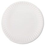 Empress Uncoated Paper Plates 9" White 1,000ct. - Image 2