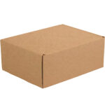 11 1/8 x 8 3/4 x 4" Kraft Deluxe Literature Mailer