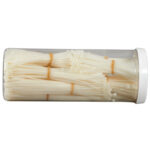 Cable Tie Kit - Assorted Natural