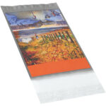 6 x 9" Clear View Poly Mailers - Master Carton