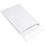 10 x 13 x 1 1/2" Expandable Ship-Lite Envelopes