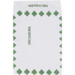 10 x 13 x 1 1/2" First Class Expandable Tyvek Envelopes