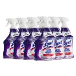 RAC78915 LYSOL® Mold and Mildew Remover with Bleach